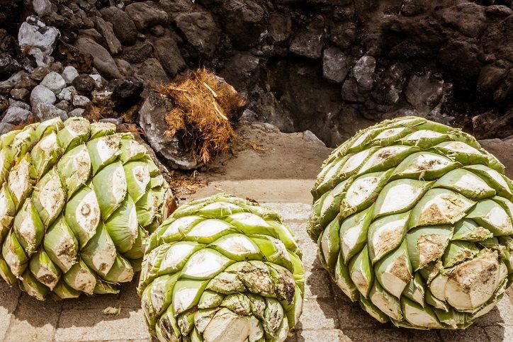 Mezcal is a colorful Mexican drink with a caterpillar