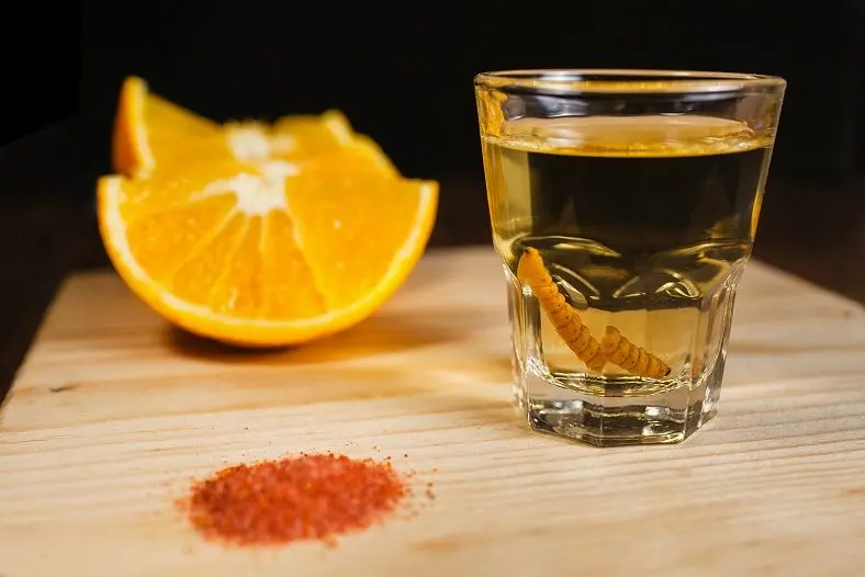 Mezcal is a colorful Mexican drink with a caterpillar