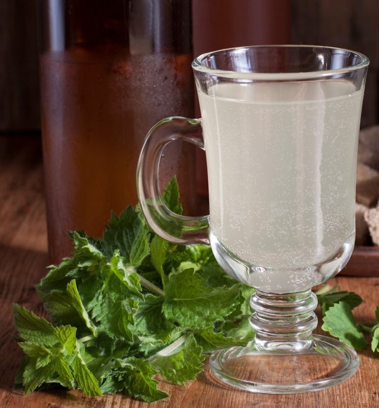 Mint kvass with lime (lemon) and honey