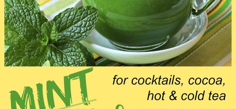 Mint syrup: 3 recipes at home