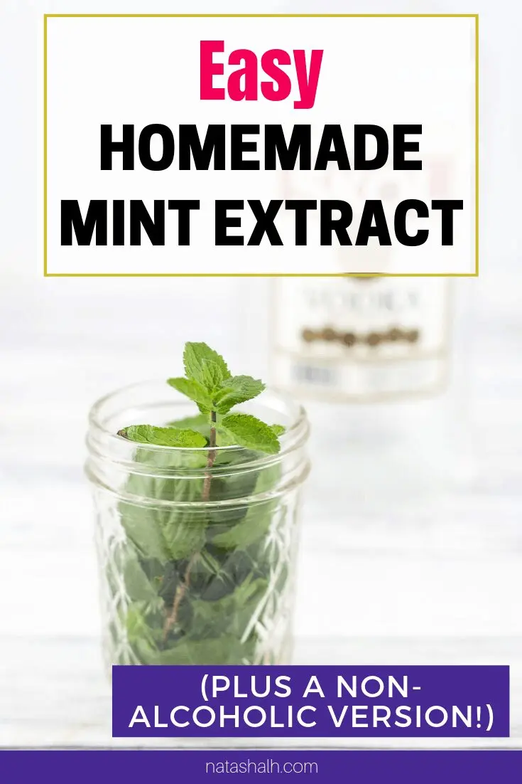 Mint tincture: 5 recipes at home