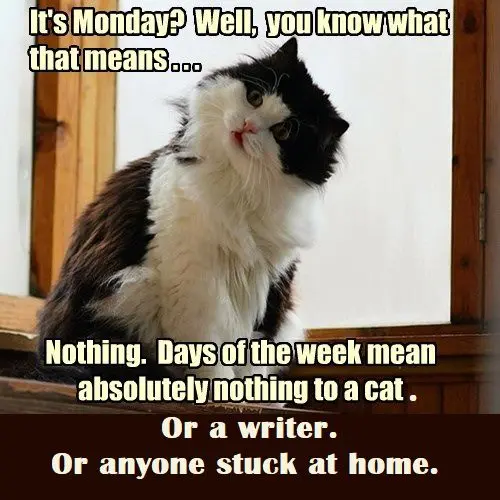 Monday day… normal!