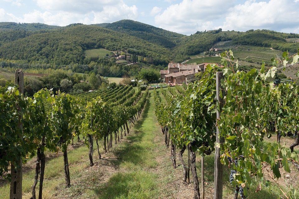 Montepulciano is one of the most popular wines in Italy.