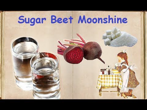 Moonshine from beets: 3 recipes at home