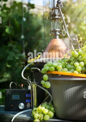 Moonshine from grapes at home