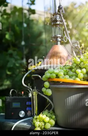 Moonshine from grapes at home