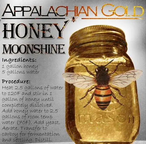 Moonshine from honey: 2 recipes at home