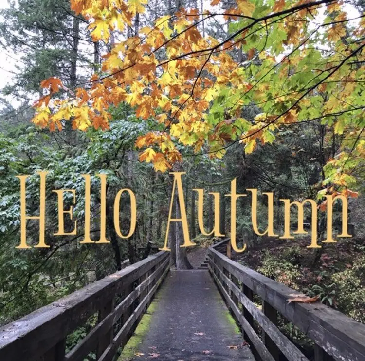 More sun: 3 ways to fight autumn depression