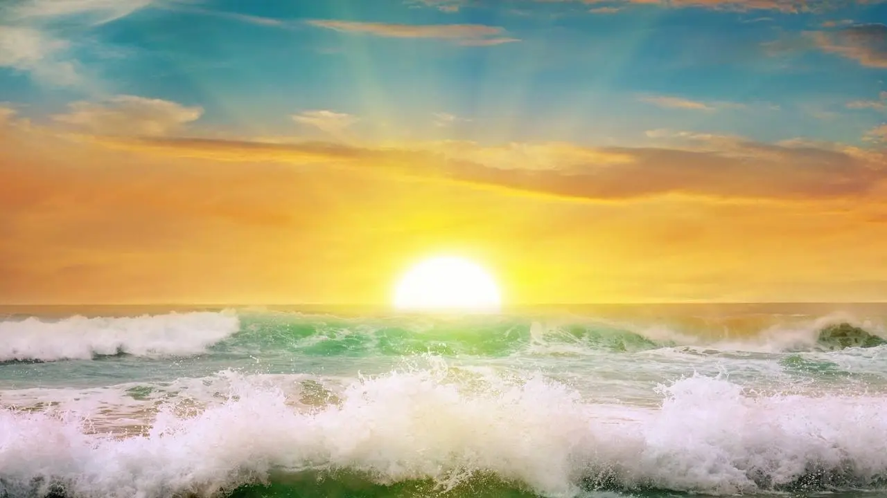 Morning light helps you lose weight