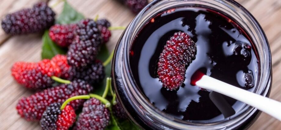 Mulberry (Mulberry) Pouring: 3 Recipes at Home