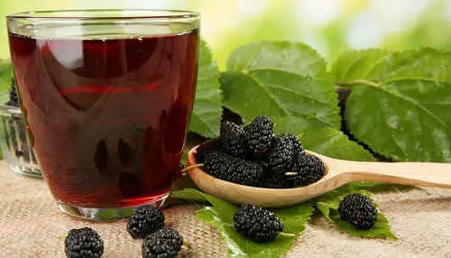 Mulberry wine: 3 recipes at home