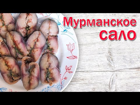 Murmansk lard - a recipe for a mackerel appetizer with vodka and beer