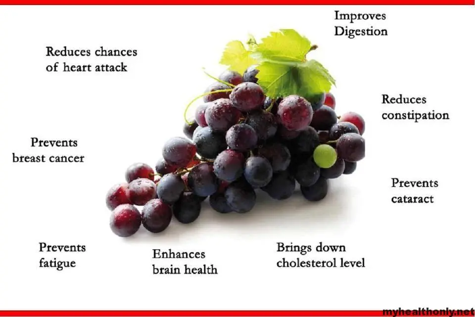 Net benefits of grapes