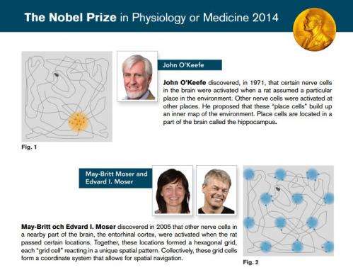 Nobel Prize for the brain&#8217;s &#8220;GPS system&#8221;