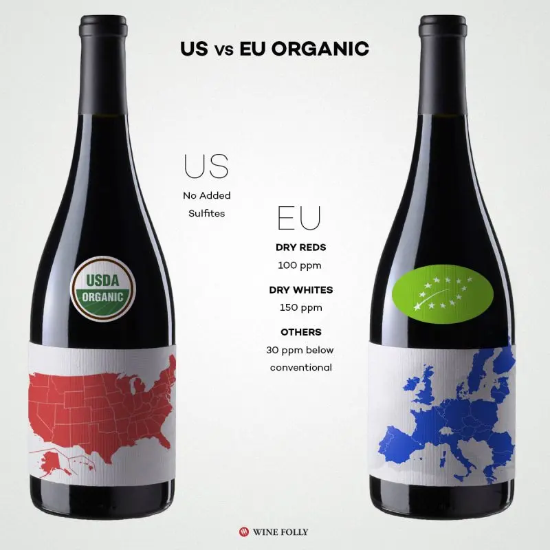 Organic and bio wines (bio wine): concept, advantages and disadvantages