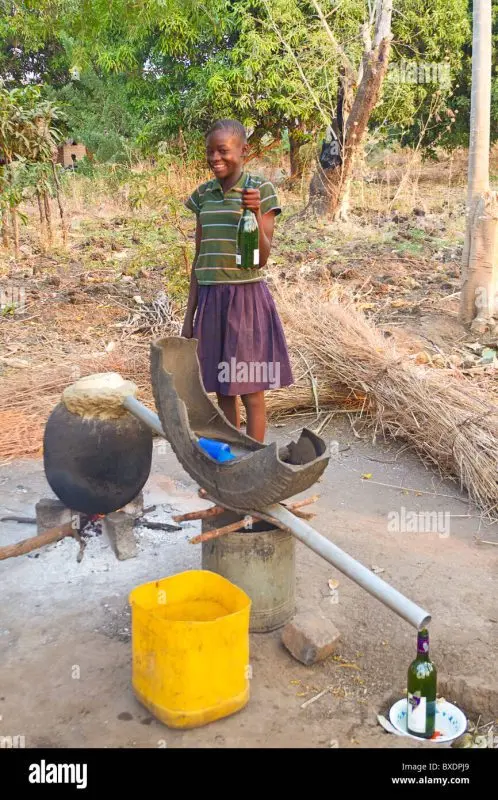 Overview of the moonshine still &#8220;Peasant Woman 2.0&#8221;