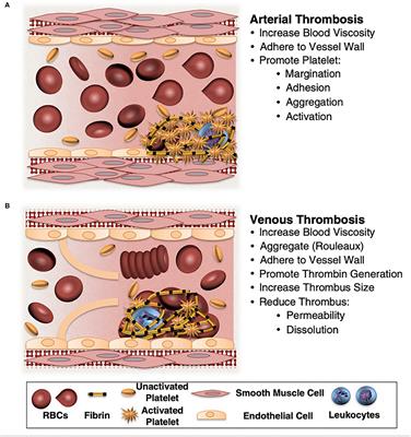 Overview of the RBC 51 device from Dobrodel