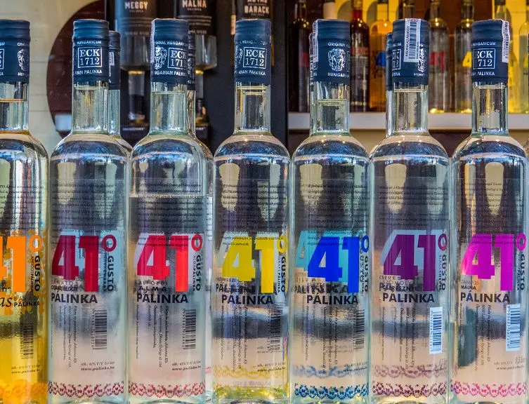 Palinka &#8211; Hungarian fruit vodka with national flavor