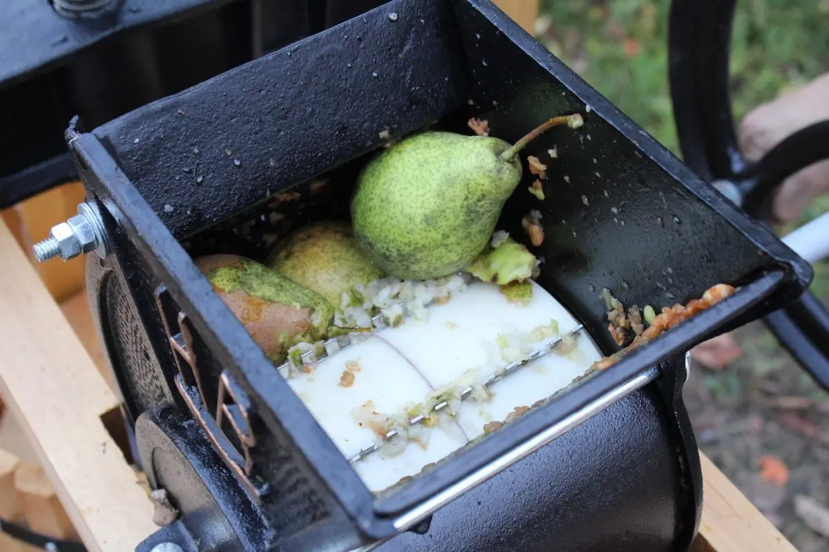 Pear cider at home &#8211; already cider, but not yet perry