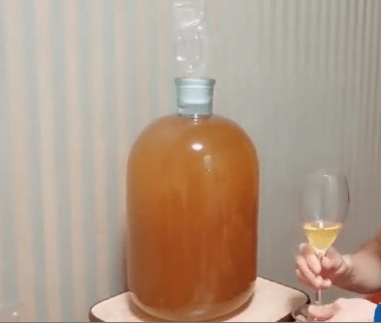 Persimmon wine at home &#8211; 2 proven recipes