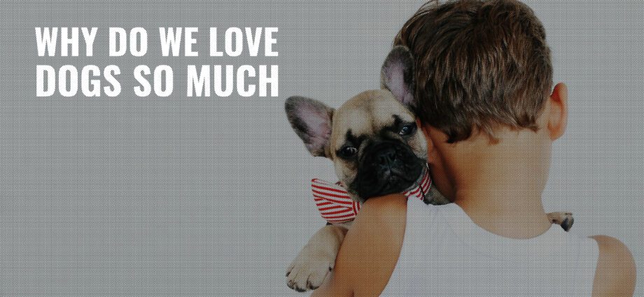 Pets: do we love them too much?