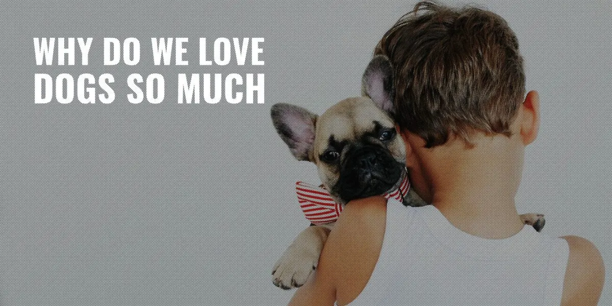 Pets: do we love them too much?