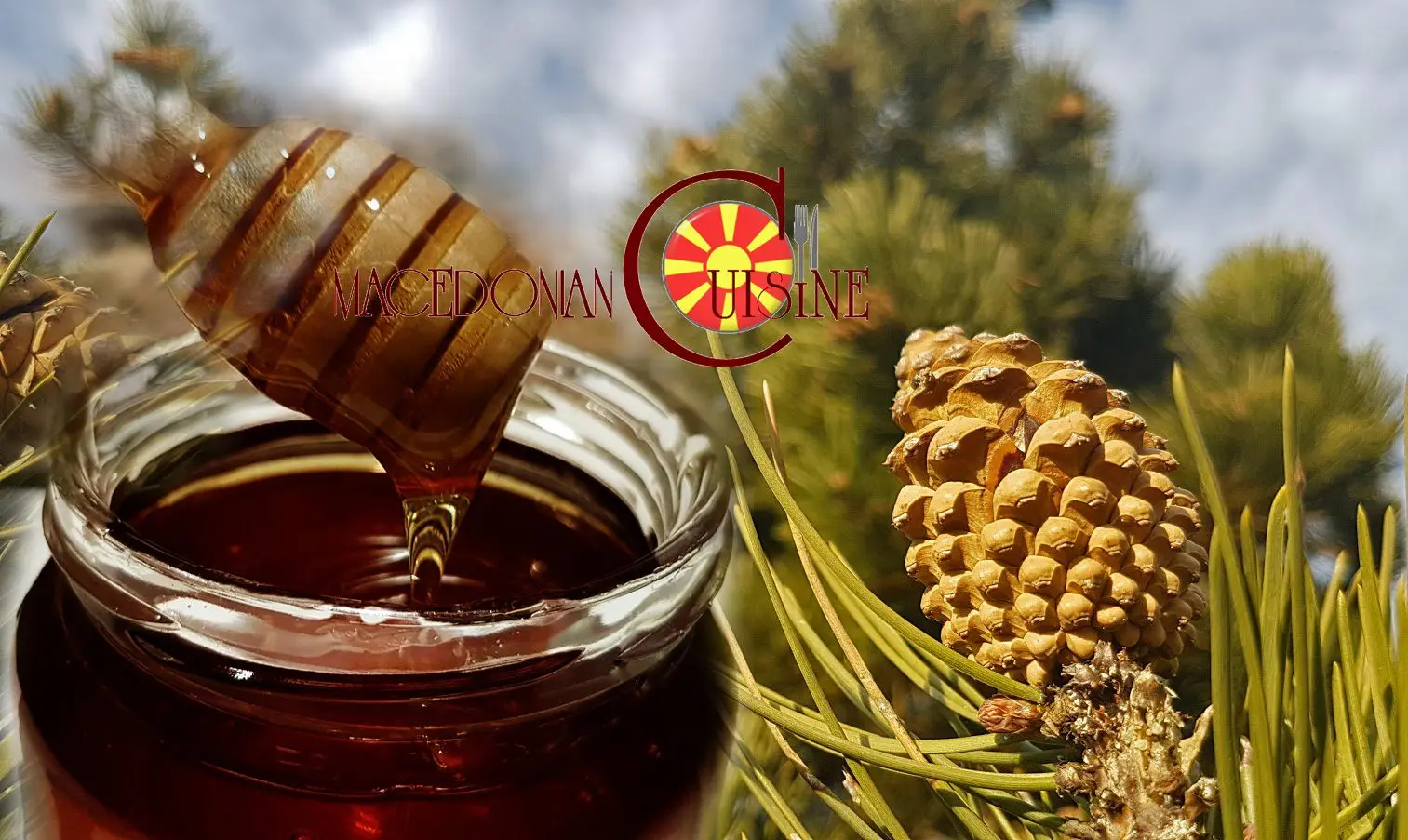 Pine Cone Tincture: 5 Recipes + Properties and Uses