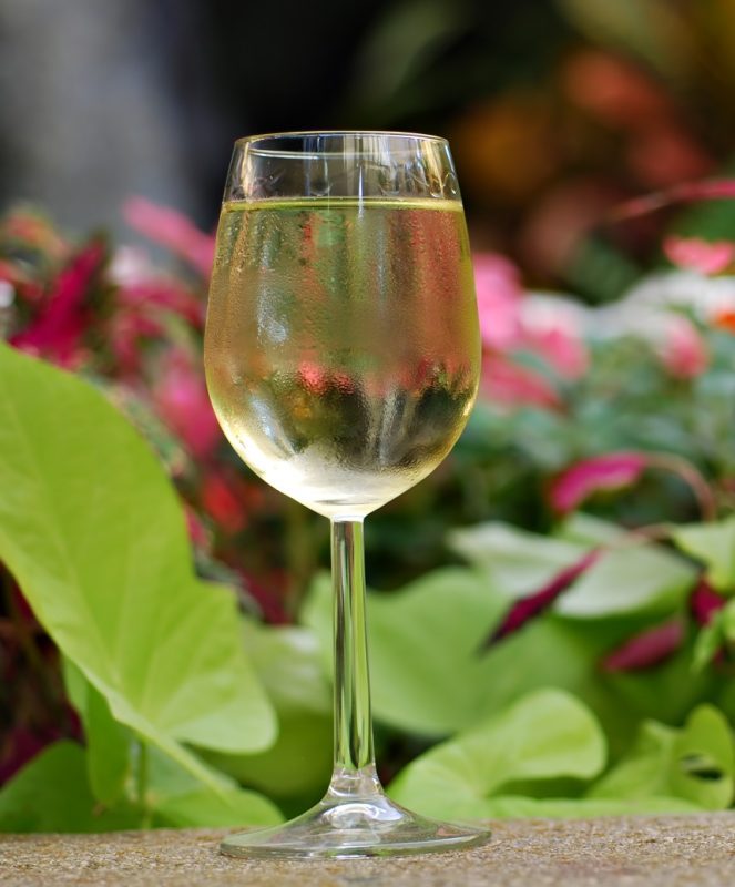 Pinot Grigio &#8211; French-Italian