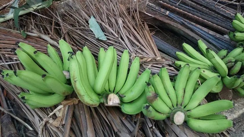 Pisang Ambon is a banana liqueur from Indonesia.