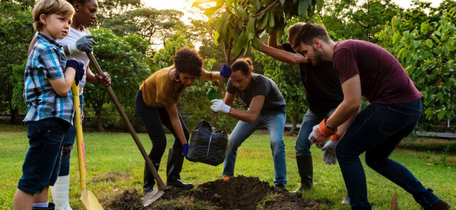 Plant a tree: what gardening teaches us