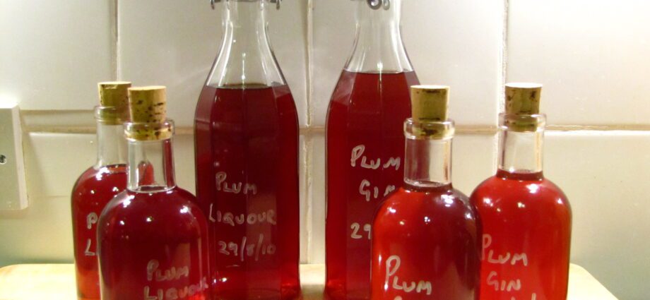 Plum liqueur on vodka, cognac, gin and rum