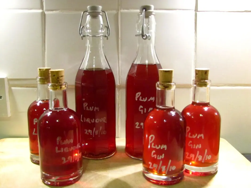 Plum liqueur on vodka, cognac, gin and rum