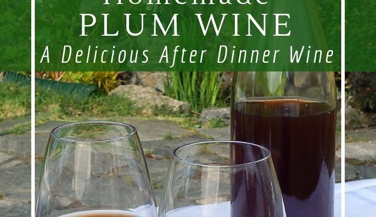 Plum wine: 6 recipes at home + tips and videos