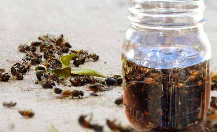 Podmore on vodka &#8211; preparation and use of tincture