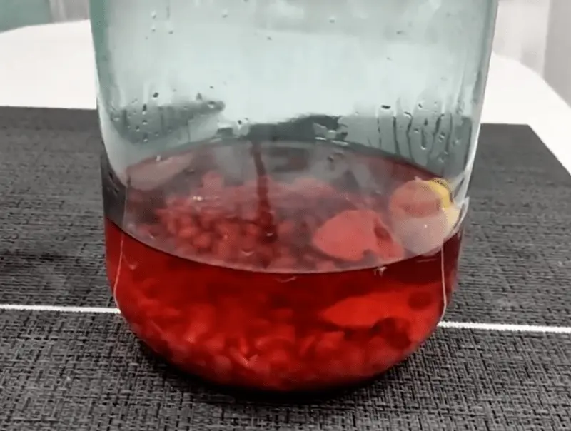 Pomegranate tincture on vodka