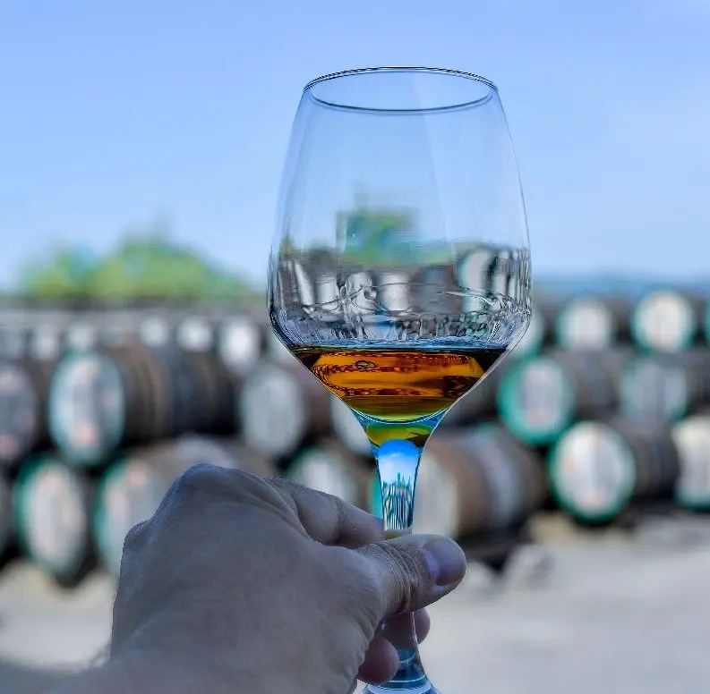 Portuguese wine Madeira (madeira) &#8211; a child of the sea and the sun