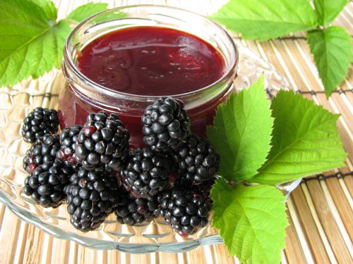 Pouring and tincture of blackberries: 7 recipes at home