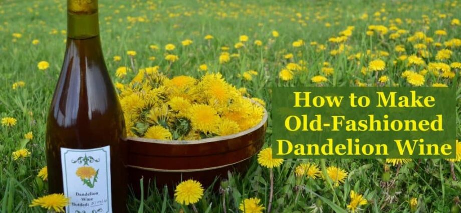 Pouring of dandelions without vodka