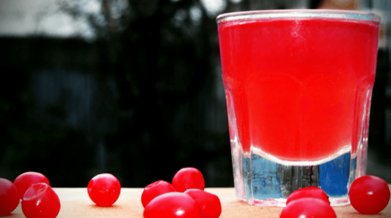 Pouring red mountain ash at home &#8211; 5 recipes