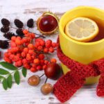 Pouring red mountain ash at home &#8211; 5 recipes