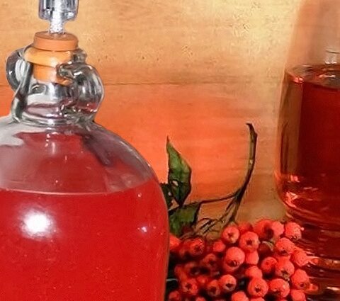 Pouring red mountain ash at home &#8211; 5 recipes