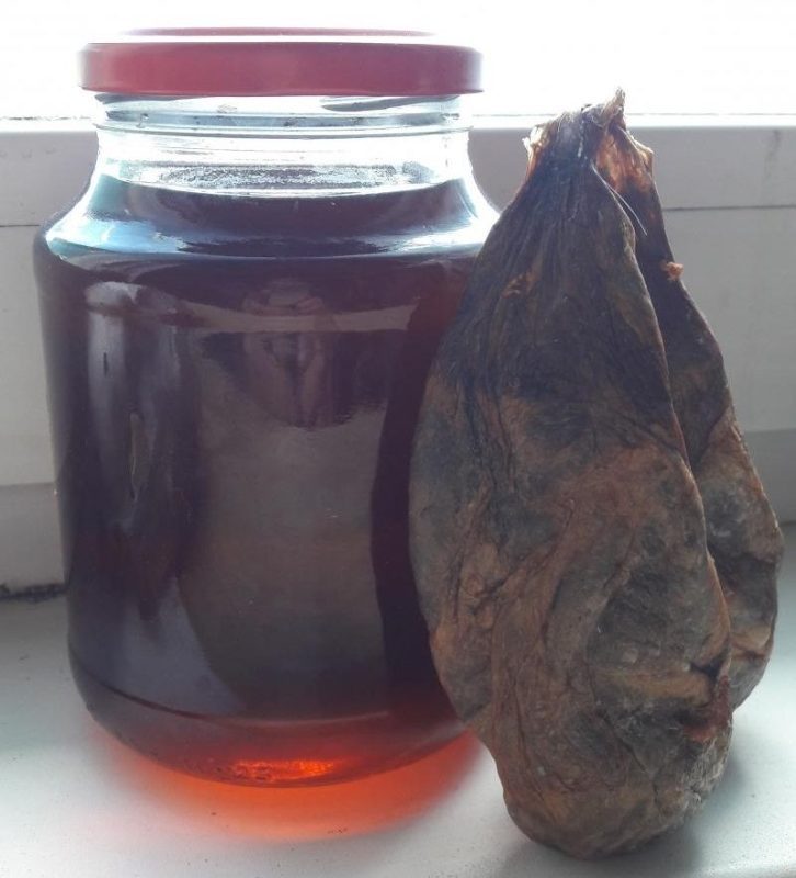 Preparation and application of tincture of beaver stream (castorium)