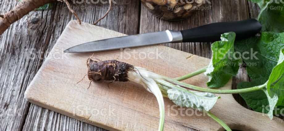 Preparation and use of burdock tinctures on vodka (alcohol)