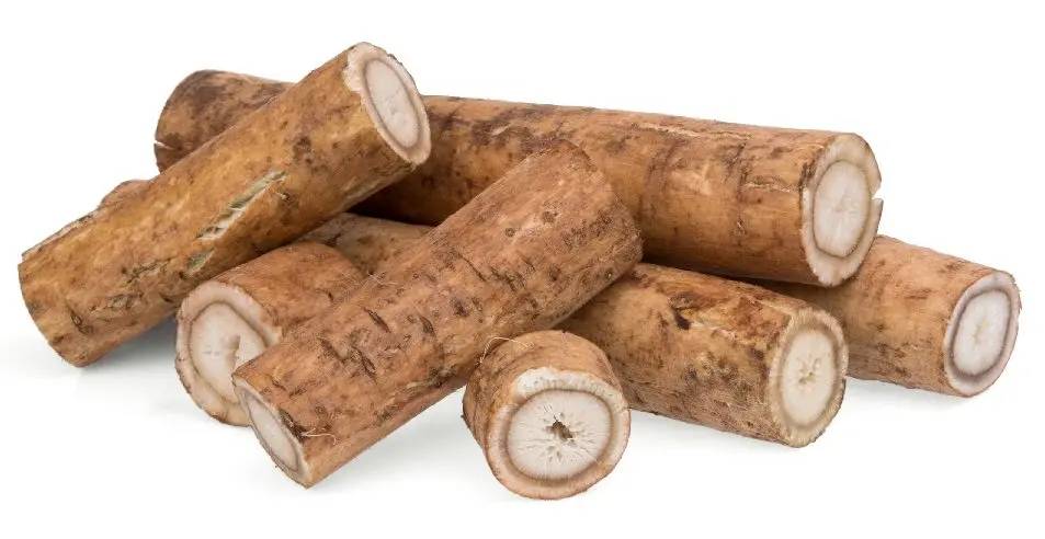 Preparation and use of burdock tinctures on vodka (alcohol)