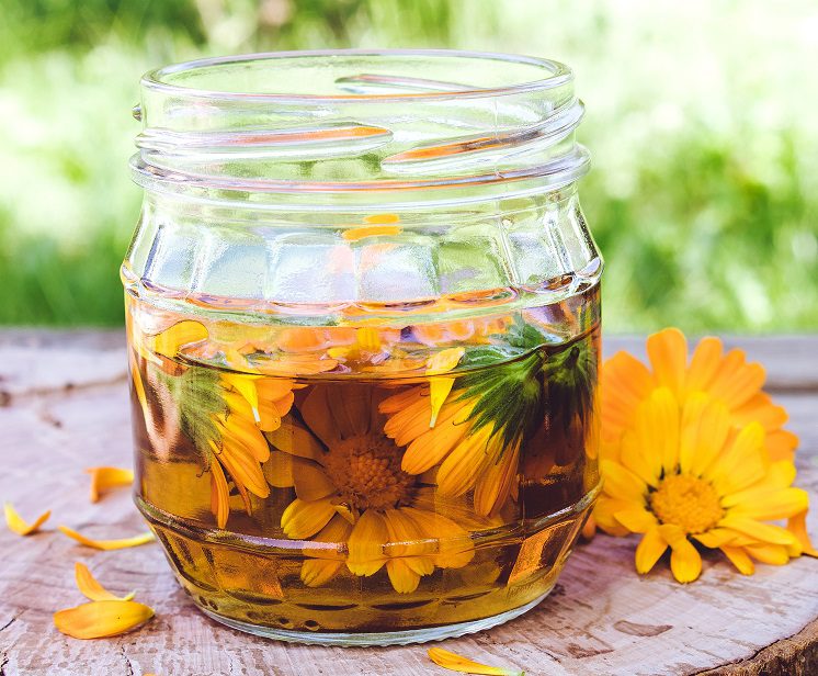 Preparation and use of calendula tincture