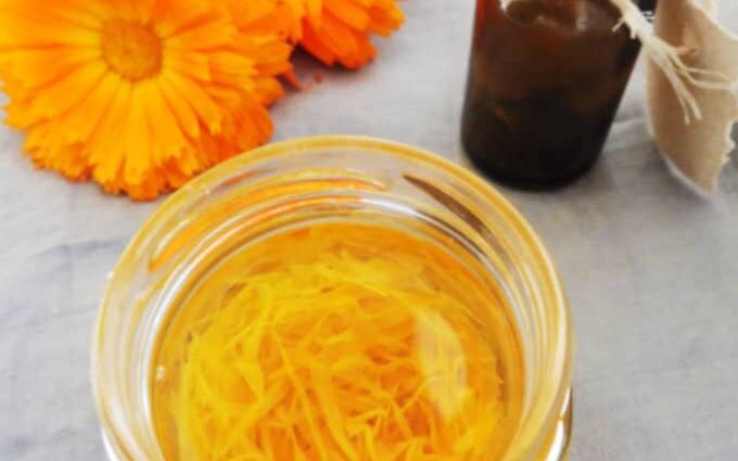 Preparation and use of calendula tincture