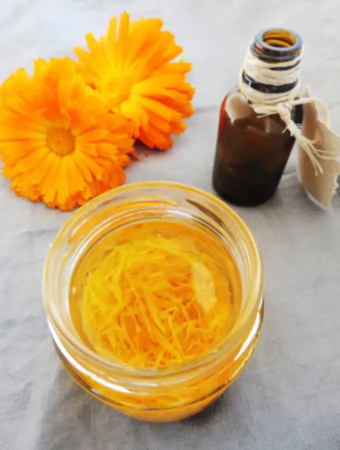 Preparation and use of calendula tincture