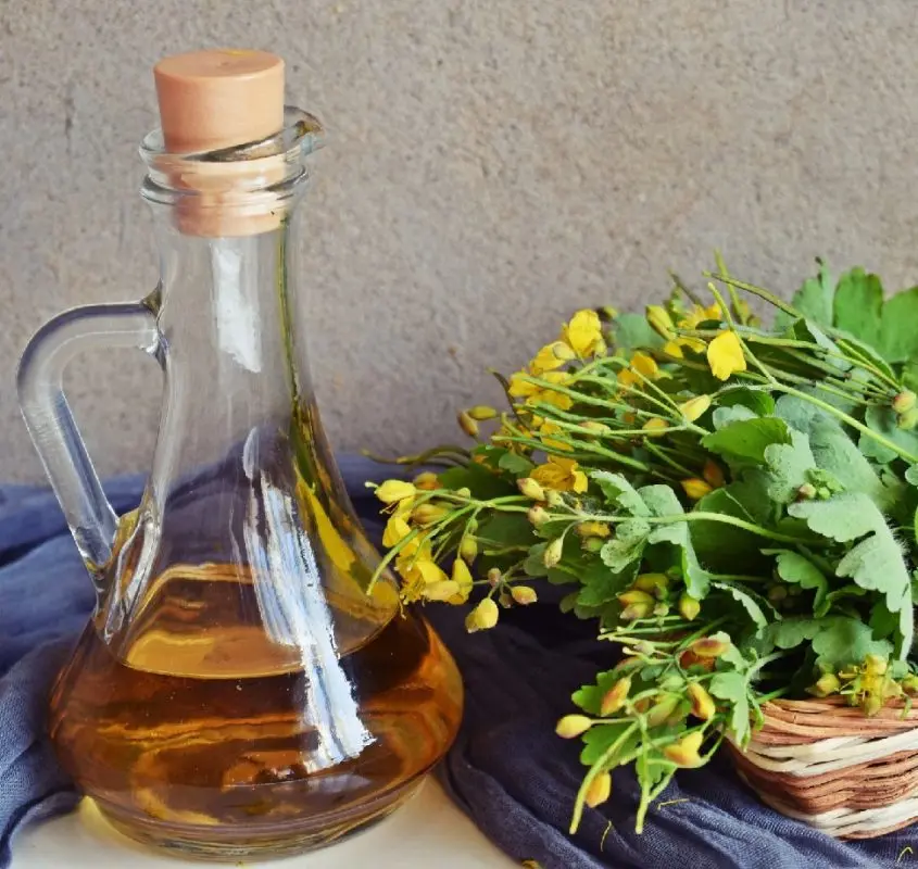 Preparation and use of celandine tincture