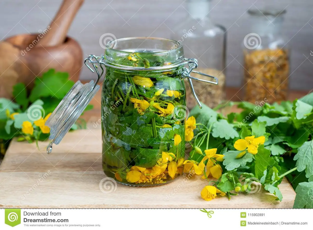 Preparation and use of celandine tincture