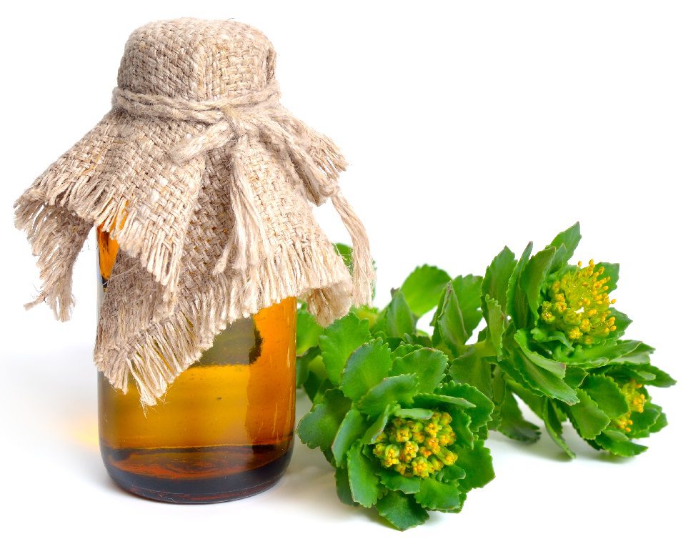 Preparation and use of golden root tincture